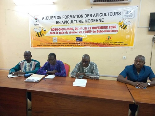 Bobo-Dioulasso : Des apiculteurs à l’école des techniques d’apiculture moderne