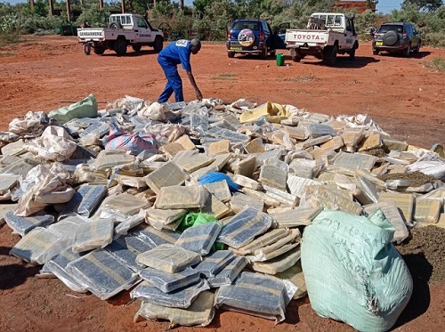 Lutte contre la drogue au Burkina : 815 Kg de chanvre indien saisis et incinérés par la brigade ville de gendarmerie de Bobo