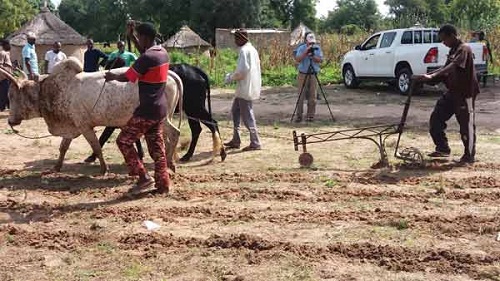 Innovation agricole ; Le projet ASMC a formé les artisans et producteurs sur l’utilisation du semoir