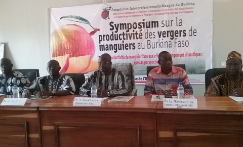 Filière mangue au Burkina Faso : Les acteurs réfléchissent pour améliorer sa production