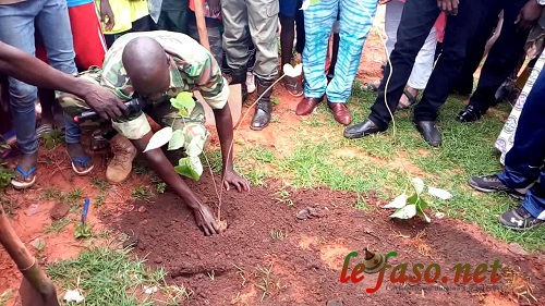 Environnement : L’arrondissement N°2 de Bobo-Dioulasso a lancé sa campagne de reboisement 2018 