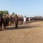 Le défilé des dozo du Burkina Faso et de la sous-région.